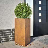 VidaXL Plantenbakken 2 st driehoekig 50x43x75 cm weervast staal