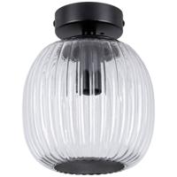 Paulmann 71145 Ruya Plafondlamp E14 Glas, Zwart (mat)