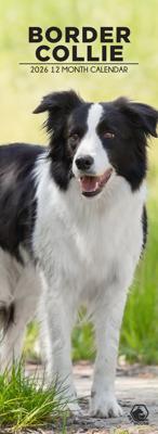 Border Collie Slimline Kalender 2026 Border Collie Slimline Kalender 2026