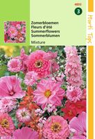 HT Zomerbloemen rose/rode tinten - Hortitops
