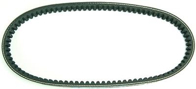 Polini V-belts verst. 18x675 mm
