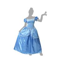 Kostuums voor Volwassenen Prinses Blauw Maat XL