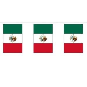 2x Polyester vlaggenlijn van Mexico 3 meter   -