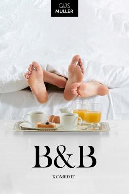 B&B (Paperback)