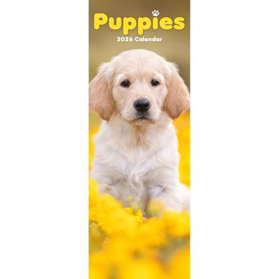 Puppies Kalender 2026 Slimline