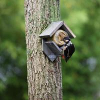 Esschert houten pindakaashuisje - grijs - Old Look - vogelvoederhuisje - thumbnail