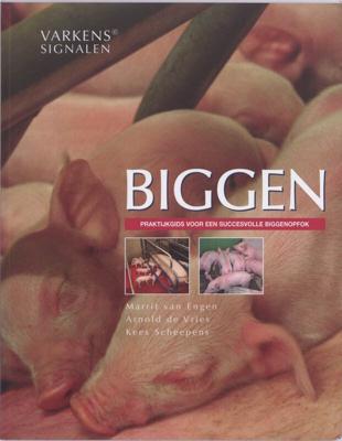 Biggen (Paperback)