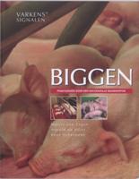 Biggen (Paperback)