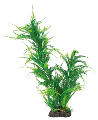 Superfish Art Plant 40 cm Microsorum