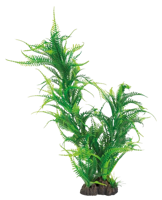 Superfish Art Plant 40 cm Microsorum