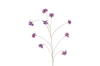 Countryfield plumeria 167 cm paars