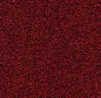 Coral Bright 2603 Vivid Earth 200 cm breed