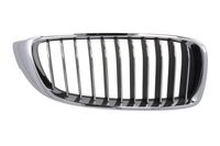 Radiateurgrille 6502070070998P