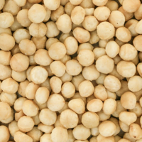 Macadamia noten gebrand & gezouten 1000 gram