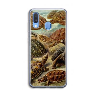 Haeckel Chelonia: Samsung Galaxy A40 Transparant Hoesje