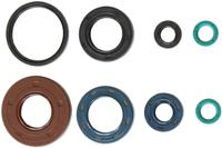ATHENA motorsimmerringsatz motorshield mxu/maxxer300,05-10,athen