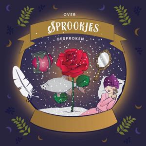 Over sprookjes gesproken (Paperback)