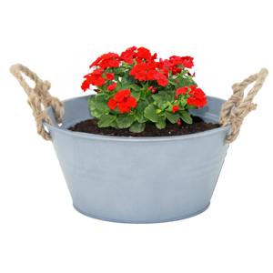 Mega Collections teil/plantenpot Old Rope - zink - zilver - D23 X H11 cm   -