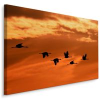 Schilderij - Kraanvogels bij Zonsondergang, Premium Print - thumbnail