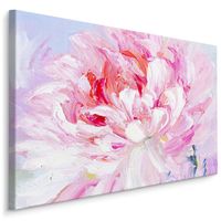 Schilderij - Pinkster roos, print op  canvas, premium print , Wanddecoratie - thumbnail