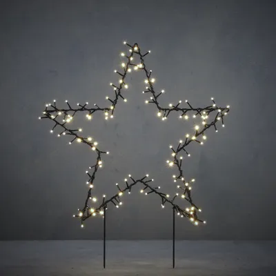 Tuinsteker Ster (100 ledlichtjes, L60 x H73 cm)