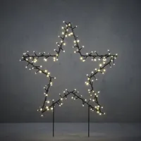 Tuinsteker Ster (100 ledlichtjes, L60 x H73 cm)