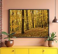 Bos in de herfst realistische fotoposter