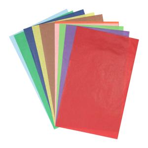 Wins Holland Transparant papier gekleurd, 10st.