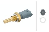 Temperatuursensor 6PT009107611