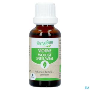 Herbalgem Sneeuwbal Bio 30ml