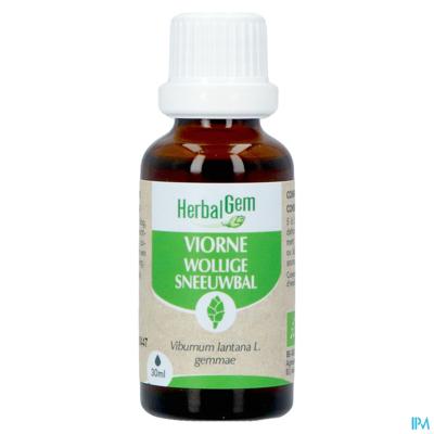 Herbalgem Sneeuwbal Bio 30ml