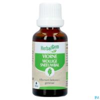 Herbalgem Sneeuwbal Bio 30ml