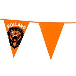 Vlaggenlijn - oranje met leeuw - 6 meter - 15 vlaggen - kunststof - Vlaggenlijnen