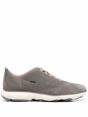 Geox baskets Nebula - Gris
