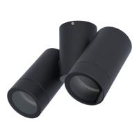 Silva LED Plafondspot - Kantelbaar - 2 lichts - GU10 - IP65 waterdicht - Plafondspot - Binnen en buitengebruik - Zwart