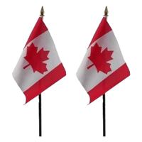 Canada - 2x - mini vlaggetje van 10 x 15 cm op stokje - Landen vlag - H27 cm