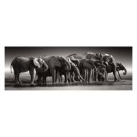 Clementoni legpuzzel herd of giants, 1000st.