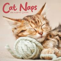 Cat Naps Kalender 2026