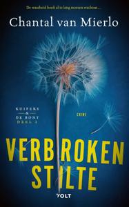 Verbroken stilte - Chantal van Mierlo - ebook