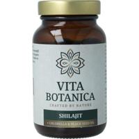 Vita Botanica shilajit