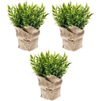 Emerald Kunstplant - 3x - Muizendoorn Kruidenplant - Groen - In Jute Pot - 20 cm