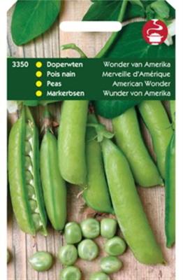 Doperwten Wonder Van Amerika - Tuinplus