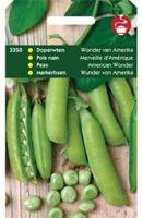 Doperwten Wonder Van Amerika - Tuinplus
