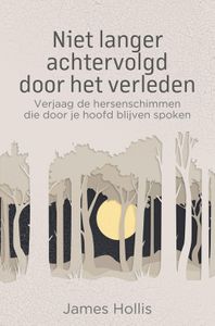 Niet langer achtervolgd door het verleden - James Hollis - ebook