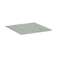 pgb-Europe FG | Spijkerplaat 106x200 Zn (1,25) | 25 st FG01560011062005