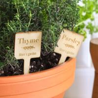 Houten plantensteker gegraveerd - set van 12