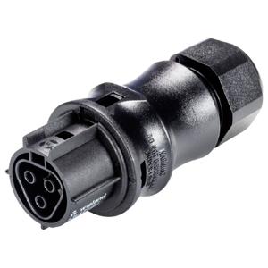 Wieland Electric 96.031.4053.1 Steekverbinder Zwart