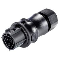 Wieland Electric 96.031.4053.1 Steekverbinder Zwart