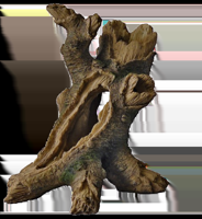 Superfish Forest Deco Wood deco tree medium
