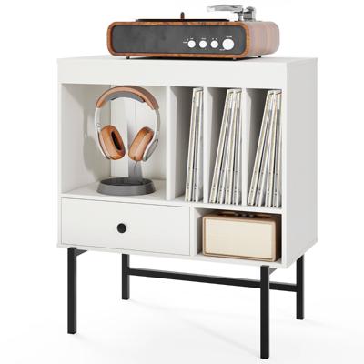Moderne Platenspelerstandaard Vinylkast met Albumhouders en Lade Bijzetkast Wit